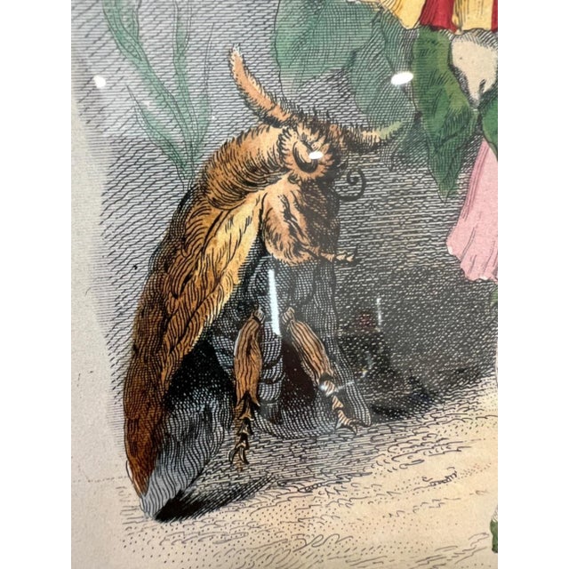 19th Century Grandville Belle-De-Nuit Hand-Colored Engraving Les Fleurs Animees For Sale - Image 5 of 15
