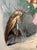 19th Century Grandville Belle-De-Nuit Hand-Colored Engraving Les Fleurs Animees For Sale - Image 5 of 15