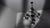 An elementary mesh of crystallized iron describes the spirit of a bright future– the late 1950s provides inspiration for...