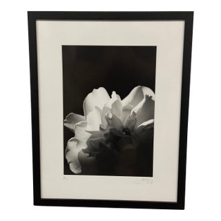 Jess Johnston Photograph, Framed For Sale