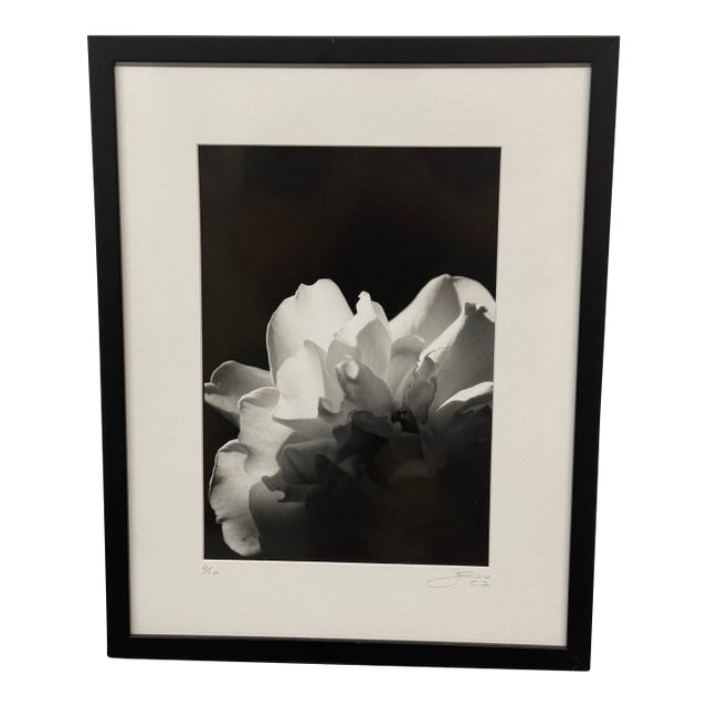 Jess Johnston Photograph, Framed For Sale