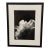 Jess Johnston Photograph, Framed For Sale