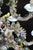 Rococo Porcelain Chandelier from Meissen, 1886 For Sale - Image 11 of 17
