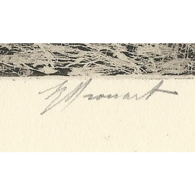 Paper Raphaël Drouart, La Cave Aus Fées (The Fairies' Cave), 1920s, Etching For Sale - Image 7 of 10
