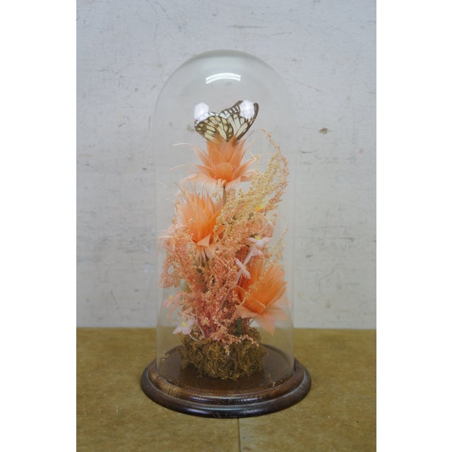 Late 20th Century Late 20th Century Floral Butterfly Diorama Taxidermy Display Apothecary Cloche Dome 12" For Sale - Image 5 of 14
