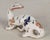 19th Century French Desvres Fourmaintraux Freres Faience Salamander For Sale - Image 4 of 10