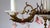 Mid-Century Modern Brass and Porcelain 5-Light Chandelier by Peris Andreu, 1940s For Sale - Image 3 of 16