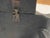 Wood Antique Spanish Architectural Tripod Chair For Sale - Image 7 of 7
