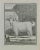The goat of Angora (a goat) is an etching realized by Jean Gullaume Moitte in 1771. It Belongs to the suite "Natural,...