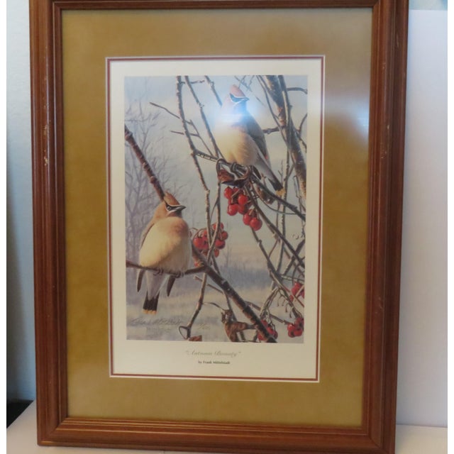 Autumn Bounty Cedar Waxwing Birds Print '93 Artist Signed Ltd Edition #118/600 The print is matted and framed. It's in...