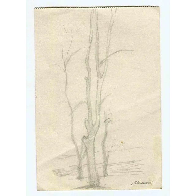 The Trees is an original drawing in Pencil realized by Mino Maccari in the mid-20th Century. Good condition. The artwork...