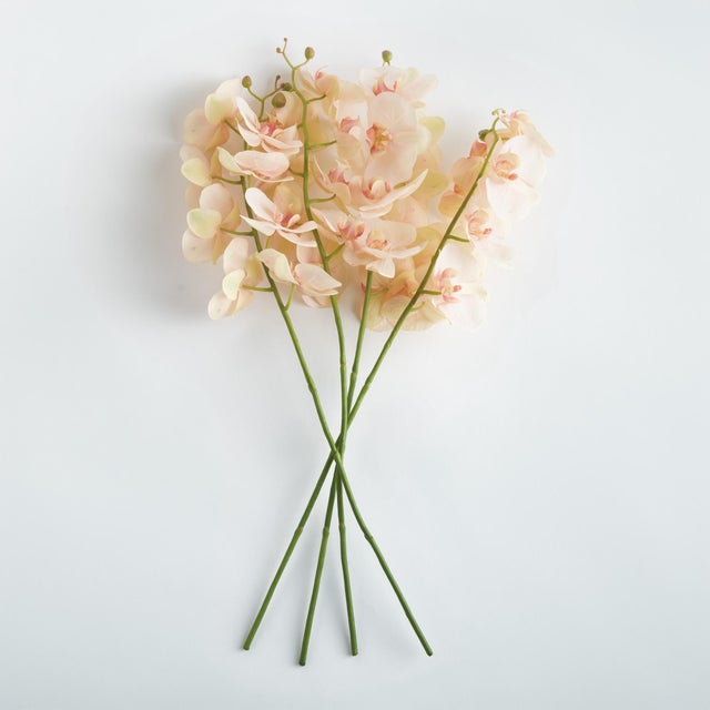Made to look 100% realistic you, d swear this exquisite orchid was cut this morning. Artfully arrange in a tall glass jar...