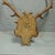 Wood Black Forest 8 Pointer Red Deer Trophy on Carved Plaque Germany 1930s For Sale - Image 7 of 7