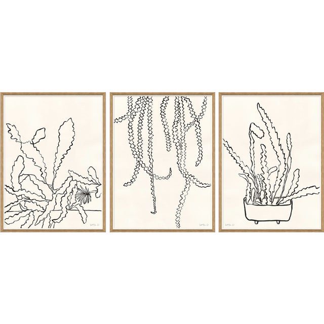 Not Yet Made - Made To Order Sedum, Peregrina I and II by Susan Hable For Sale - Image 5 of 5