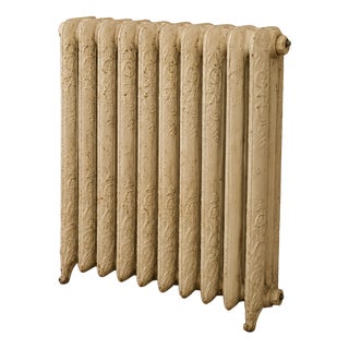 19th Century Floral Cast Iron Radiator, 1890s For Sale
