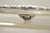 Vintage Epca Bristol Silver by Poole 73 16 Silver Plated Oval Platter Bar Tray For Sale - Image 9 of 11