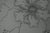 Gochka Charewicz Large Flower Original lithograph Signed in pencil Limited edition of 29 (the number shown in the...