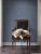 Schumacher Schumacher Moire Wallpaper in Noir For Sale - Image 4 of 5