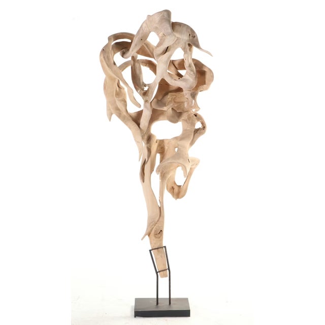 Wood Monumental Teak Root Sculpture 7' Tall For Sale - Image 7 of 18