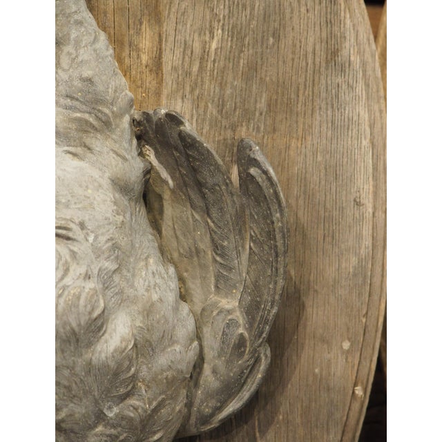 Pair of Circa 1890 Weathered French Hunt Trophies on Natural Oak Oval Panels For Sale In Dallas - Image 6 of 18