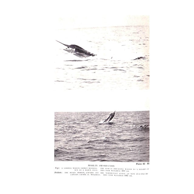 White "Sea Fishing Vol Xvii" Book 1934 Cooper, A.E. For Sale - Image 8 of 8