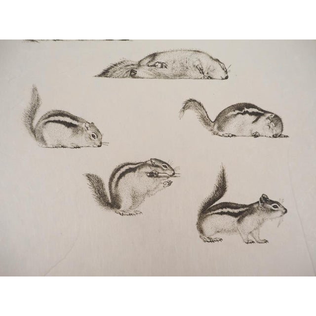 Salvador Dali, Ten Recipes for Immortality: Surrealist Composition, 1973, Etching For Sale - Image 8 of 12