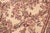 Shabby Chic Trellis 1990's Pak-Persian Ivory/Pink Wool Rug - 6'3'' X 9'1'' For Sale - Image 4 of 9
