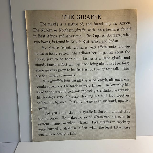 1937 Bison Book Illustration by Diana Thorne For Sale - Image 4 of 5