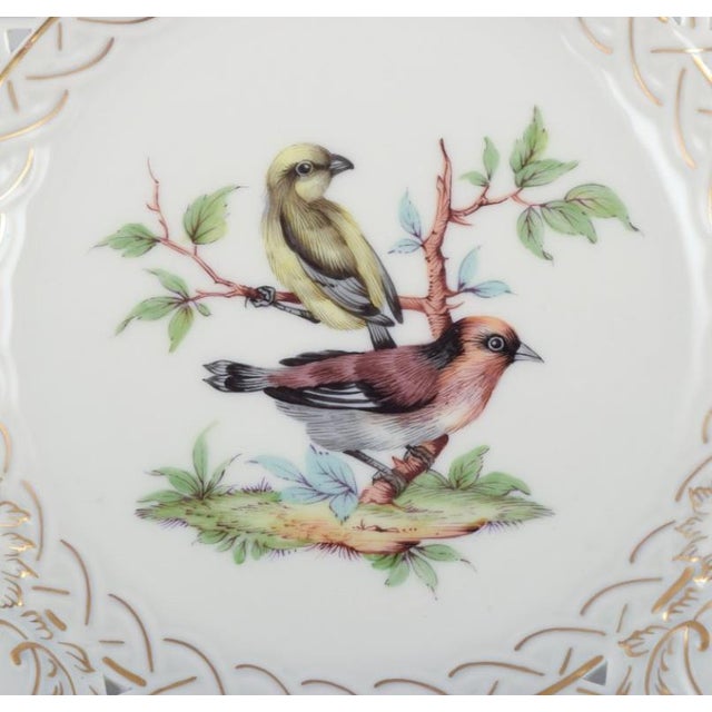 Meissen, Germany. Open lace porcelain plate. Hand-painted with a bird motif and insects, gold trim. Ca. 1900. Marked....