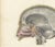Hirschfeld and Leveille, Median Sagittal Sections of the Head, 1866, Paper For Sale - Image 4 of 8