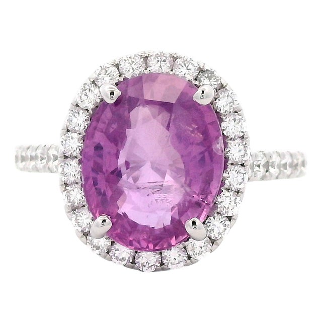 Alexander Beverly Hills Gia 5.09ct No-Heat Oval Pink Sapphire & Diamond Ring, Size 6.25 For Sale