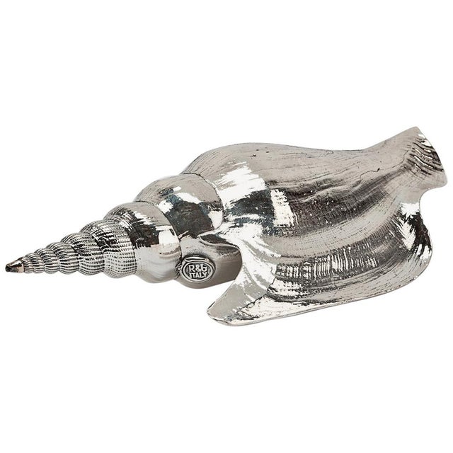 Lister's conch fully silvered shell 5". Creel and Gow has been working with the same atelier in Rome, Italy for over 20...
