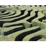 Hedge Contemporary Landscape Photograph on Paper For Sale