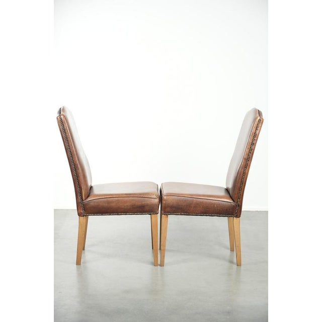 Vintage Dining Chairs in Sheepskin with a High Back, Set of 6 For Sale - Image 3 of 12