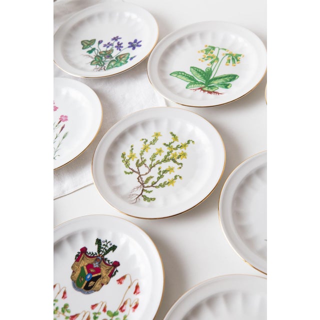 Coffee and Dessert from Tettau, 1976, Set of 28 For Sale - Image 16 of 18