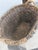 Early 20th Century Large ,French , 20 Century Wicker Grape Harvesting Basket With Handles For Sale - Image 5 of 6