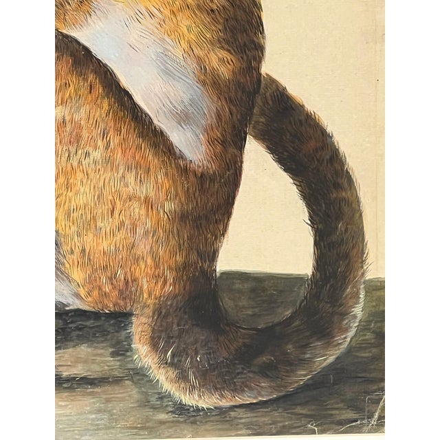 Peter Paillou Early Naturalistic Wildlife Animal Rendering of a Possible Capuchin Monkey, Mid 18th Century For Sale - Image 4 of 8