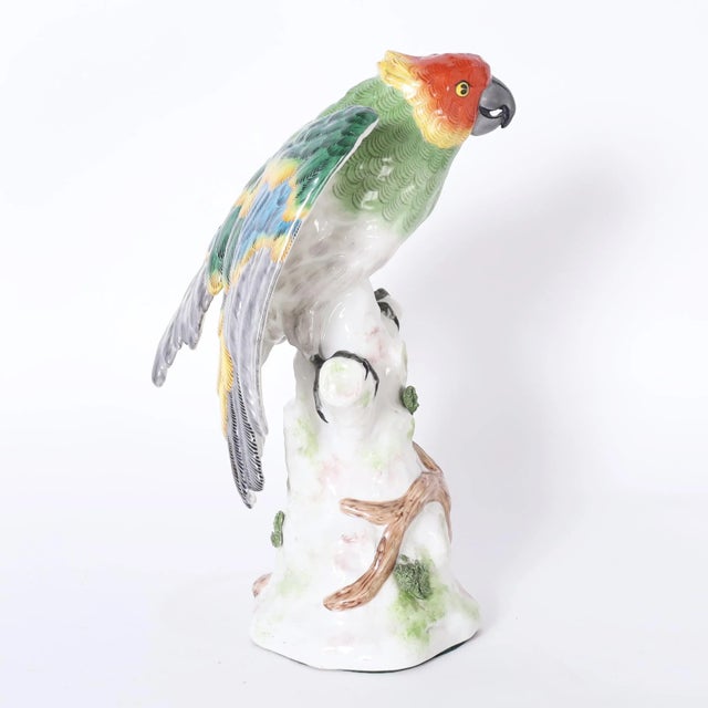 Traditional German Porcelain Parrot For Sale - Image 3 of 9
