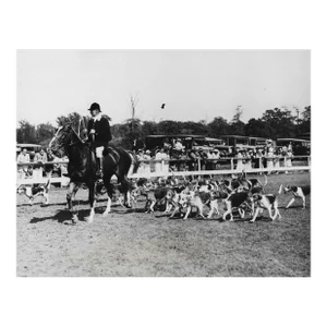 1931 Huntington Horse Show With Meadow Brook Hounds Photograph