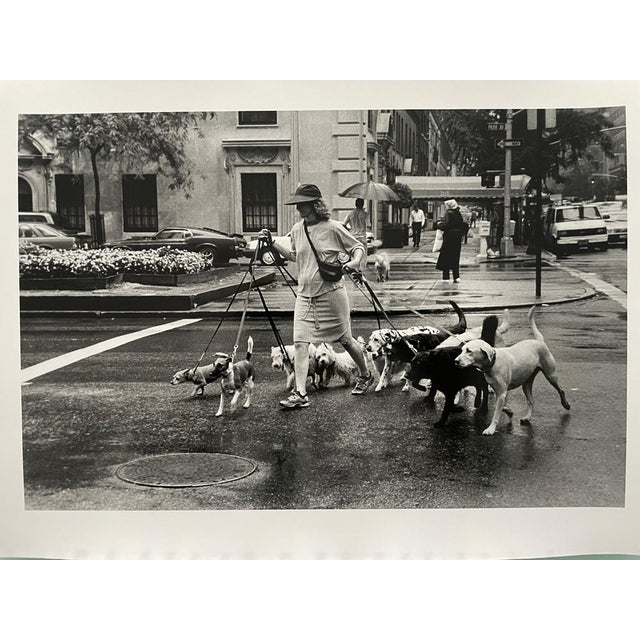Thomas Consani (born 1970) New York [Ten dogs], 1994 Silver print Format: 30x40 cm (sheet), 37x24 cm (image) Located,...