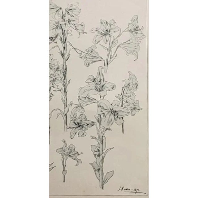 C1900 Botanical Studies-Set of 3, White Lily, Geranium, Carnation For Sale - Image 4 of 12