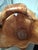 Vintage Handcarved Large Burl Wood Basket For Sale - Image 10 of 12