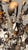 Circa 1940s Italian Gilt Tole & Glass Fruit Candelabra — Pair For Sale - Image 9 of 10
