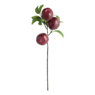 Apple Branches 20" St/4 For Sale