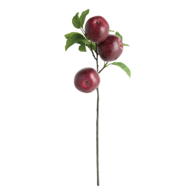 Apple Branches 20" St/4 For Sale