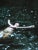 Female Figurative Art Print, Impressionist Woman Swimming Photography Print, Large 30 X 40" Wall Art, "Nightswimming" For Sale
