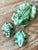 Vintage Boho Brush McCoy Hand Painted Frogs - Set of Three For Sale - Image 4 of 7