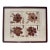 Ellen Schiffman 1995 Preserved Botanical Collage Original Framed For Sale