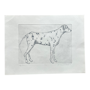 1990’s Original Contemporary Traditional Dalmatian Spotted Dog Etching “Dog One”
