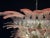 Metal Italian Murano Glass Chandelier with Pink Leaves For Sale - Image 7 of 15